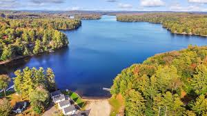 Image result for Lintonia