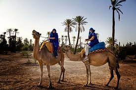 If the interest rate in the united states increases, then in the foreign exchange market the a) demand for u.s. Marrakech Half Day Camel Ride In Palm Grove Getyourguide