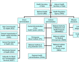 2 organizational chart of the ministry of health download