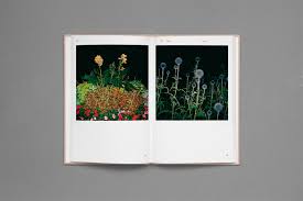 For more information, check out our privacy policy. Strange Plants Artists Exploring The Seduction Flora 032c