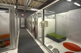 Blossom Hill Wouldn T You Want To Be A Dog I Am Moving Or Someone In My Family Needs To Live Here Th Dog Boarding Kennels Dog Boarding Facility Dog Hotel