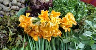Check spelling or type a new query. Euphorhea Edible Flowers From The Bengali Kitchen