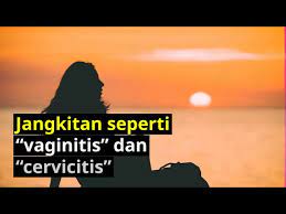 Jenis cecair keluar dari faraj #6 jangkitan seksual. Cecair Coklat Keluar Dari Faraj Brownish Vaginal Discharge Punca
