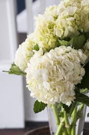 If you don't want your flowers to there's lots of options for how to preserve your wedding flowers, some of which will keep them looking as fresh if you wait more than a couple of days, you risk your flowers wilting or bruising. Pin On Floral