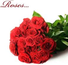 Choose through a wide variety of rose flowers wallpaper, find the best picture available. Beautiful Rose Flowers Hd Free Stock Photos Download 16 418 Free Stock Photos For Commercial Use Format Hd High Resolution Jpg Images