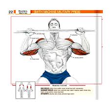 However, the muscle names often reflect something about their action, their shape, or their locations. Gym Equipment Names With Pictures Descriptions