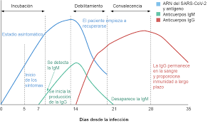 Y Despues De La Fase Aguda De La Covid 19 Que Amf 2020