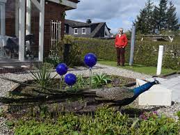 Bekannte von mir halten ebenfalls einen pfau(und einen truthahn). Schleswig Plotzlich Stolziert Ein Pfau Im Garten Shz De