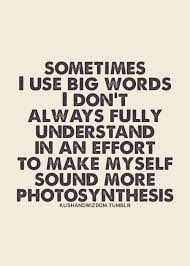 Quotes About Big Words 103 Quotes