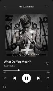 What Do You Mean A Song By Justin Bieber On Spotify Justin Bieber Songs Youtube Videos Music Songs
