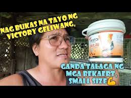 6TH OVER-ALL CHAMPION SA KFC CLUB