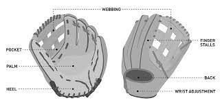 Jan 15, 2020 · if broken in properly, this high quality leather mitt should conform specifically to a player's hand. Choosing The Right Softball Glove Pro Tips By Dick S Sporting Goods