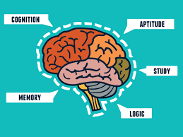 Optimum Health & Kolya | Get a Back-to-School Brain with Micro PQQ