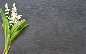 De très belles photos gratuits pour votre bureau. Bouquet De Fleurs De Muguet 1410143 Banque De Photos