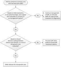 Chiropractic Integrated Care Pathway for Low Back Pain in Veterans: Results  of a Delphi Consensus Process - Journal of Manipulative & Physiological  Therapeutics