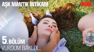 .ile buluşan ve her bölümü ilgiyle izlenen, aşk mantık i̇ntikam 5. Eovjo4af N0khm
