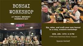 Bonsai Workshop at Props Brewery Hammock Bay