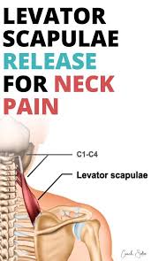 Pin On 12 Stretching Exercises For Pain Relief