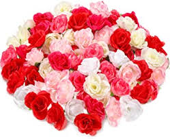 Harris seeds has been a leading purveyor of the highest quality flower seeds since 1879. Amazon Co Uk Bulk Flowers