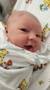 Relocating bee hives and nests in Oregon