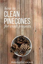 How To Clean Pine Cones For Crafts Step-By-Step (Bye Bugs!)