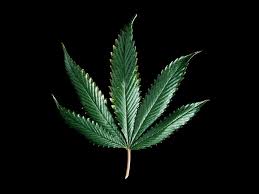5 Celebrities Who Enjoy Smoking Weed Guidancepa