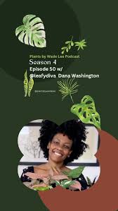 Image result for Brownleea maculata