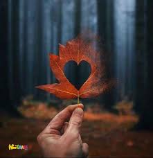 See more ideas about pictures, profile picture, profile. Best Picture For Profile Picture Sinhala21 Blogspot Com