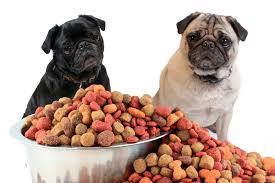 Maybe you would like to learn more about one of these? Dyes And Chemicals In Your Dog S Food The Colorful Truth