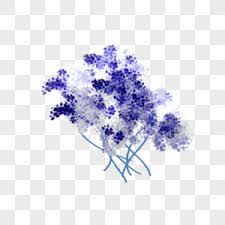 Download purple flower png free icons and png images. Dried Flower Png Images With Transparent Background Free Download On Lovepik