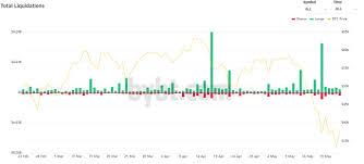 The overall crypto market shrunk. Vivpvftrtvlxrm