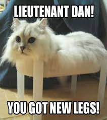 Top 40 Super Funny Animal Pictures With Captions Funny Cat Memes Funny Animals Funny Animals With Captions
