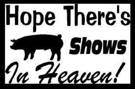 23 Pigs Ideas Showing Livestock Pig Showing Raising Pigs