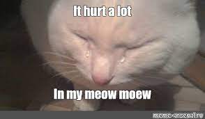 Meme It Hurt A Lot In My Meow Moew All Templates Meme Arsenal Com