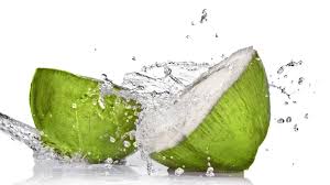 30 1 coconut tree green. Coconut Water To The Rescue Parsing The Medical Claims Shots Health News Npr