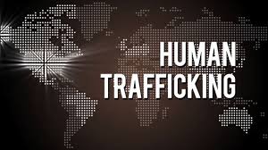 Pin On Srd Human Trafficking