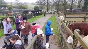 Check spelling or type a new query. Woodside Animal Farm And Leisure Park Picture Of Woodside Animal Farm And Leisure Park Luton Tripadvisor
