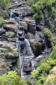 Visiting Masons Falls In Kinglake National Park Tonya Staab National Parks The Parking Spot Hobby Day Trips