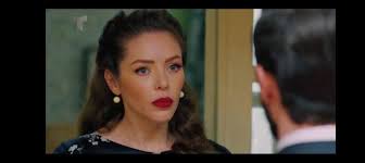 Dog understanding owner's language