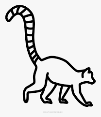This coloring book page has the difficult easy and can be used for all beginners. Lemur Coloring Page Ibragimova Stela Orenburg Hd Png Download Transparent Png Image Pngitem