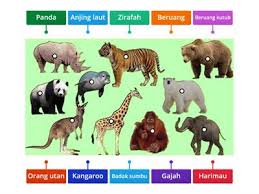 Foto haiwan termasuklah yang liar seperti herbivor, omnivor, comel, pelik atau pun yang. Gambar Rajah Berlabel Haiwan Liar Sumber Pengajaran