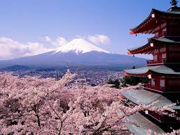 Here are 10 top and most current cherry blossom wallpaper desktop 1920x1080 for desktop with full hd 1080p (1920 × 1080). Cherry Blossom Desktop Wallpapers Wallpaper Cave