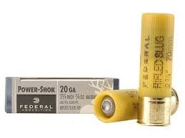 This isn't the whole story; A Look At 20 Gauge Rifled Slugs For Self Defense