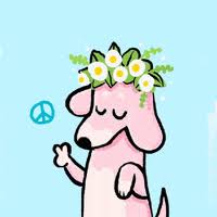 Love, chippythedog, you are beautiful! Dog Flower Gifs Get The Best Gif On Giphy
