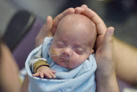 nursing annual report 2015-2016