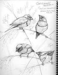 Pin On Art Tutorials For Botanical Nature Lovers