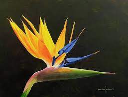 How To Paint A Strelitzia Flower In Acrylic Acrylic Painting Flowers Birds Of Paradise Flower Flower Painting