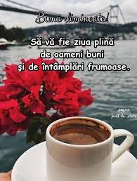 Urmele mele şi încerc să mă urc, să nu uit, să rămân printre ele. Facebook