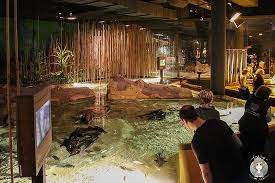 Rezervasyonu online yapın, otelde ödeyin. Klimahaus Bremerhaven 8 Ost Aktuelle 2021 Lohnt Es Sich Mit Fotos Tripadvisor