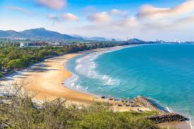 Image result for Hua